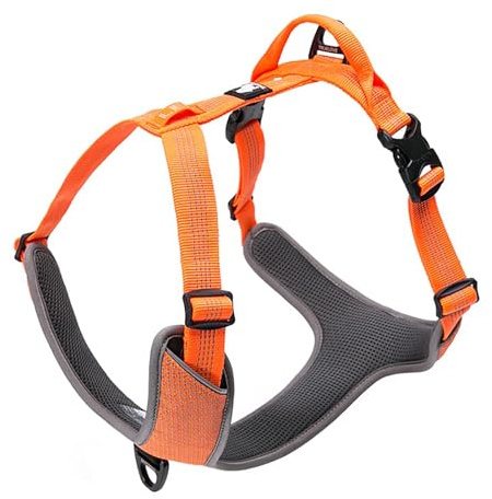 Truelove No-Pull Highly Reflective Breathable Dog Harness, Orange, XL | Full Reflective Straps & Main Body, 2 Lead Rings, Durable for Medium & Large Dogs, Adjustable, Outdoor Walking, TLH6071