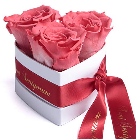 ROSEMARIE SCHULZ Heidelberg Infinity Rosenbox Herz - 3 echte ewige Rosen in Korall-Rot konserviert haltbar 3 Jahre 10x12cm - Seni Seviyorum hediye Geschenke für Frauen (Seni Seviyorum, Korall)