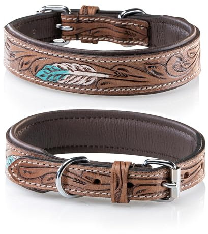 Jack & Russell Unikat Hundehalsband aus Leder, Hand-geschnitzt, gepolstert, Mehrfarbig – Halsband aus Büffelleder, Hunde Lederhalsband Chloe (XL/48-58)
