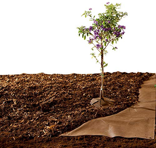 Bio Green Unkrautvlies 30m² Gartenvlies zur Beetabdeckung gegen Unkraut, Bio-Mulchvlies, wasserdurchlässig und UV-beständig, 70 g/m², 3 x 10 m, braun