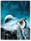 YISUMEI Kuscheldecke Eule Decke Flauschige Weich Fleecedecke für Sofa Bett,135x200cm