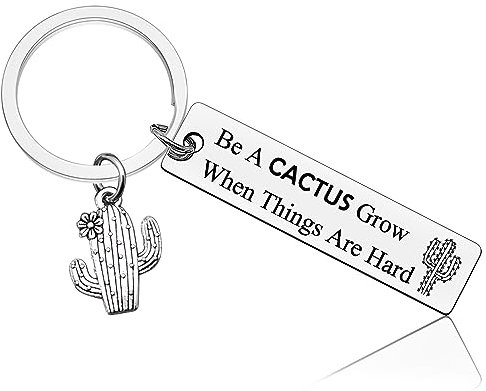 Cactus Inspirational Keyring for Friend Women Cactus Lovers Gifts Plant Lover Gifts for Women Cactus Decor Keychain Cactus Themed Keyring Motivational Gift for Daughter Son Christmas Birthday Gift