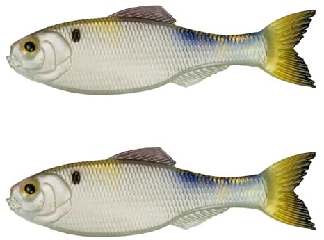6th Sense Panorama Soft Plastic Bass and Crappie Fishing Lure - Lifelike Body & Realistic Paint - Versatile Rigging Options - Multiple Sizes and Pack Counts (4K Shad)