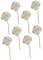 MUSISALY 8St Rattan tonghua Duftdiffusorstäbchen Blumenersatz-Nachfüllsticks Büchsen kommen Room Fragrance Aroma-Diffusor-Sticks ätherisches Öl Reben Aromatherapie-Rattanreben hölzern