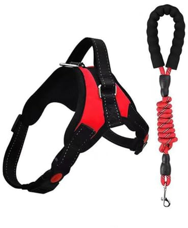 BWOOOWE 2 Stück Hundegeschirr Set Reflektierend Brustgeschirr Verstellbar Geschirr Hund Atmungsaktiv und Bequem Hundeleine Robust und Langlebig Hundezubehör für Spaziergänge Reisen