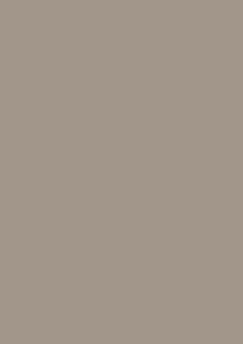 Baier & Schneider BRUNNEN Universalpapier A4 80g taupe 50Bl