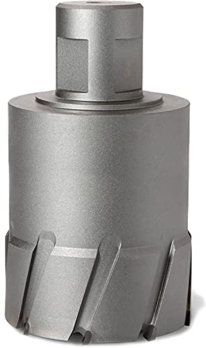 FEIN 63127821010 HM Ultra 100 Fräser mit Tür, Ultra 100 Weldon 32, Ø 100 x 100 mm, Schneidwerkzeugzubehör, maximale Lebensdauer und außergewöhnliche Effizienz