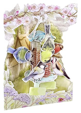 SANTORO Swing Card, 3D Pop Up Greeting Card - Garden Birds - For Her, For Mum, Birthday, Mother's Day