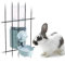 Abreuvoir sans fuite pour lapin, 500 ml, sans goutte, pour cochon d'Inde, hamster, chinchilla, furet de petit animal
