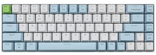 Qisan Clavier Gaming Mécanique Sans Fil 68 Touches Interrupteur Rouge Mini Design (60%) Disposition US Bluetooth Bleu Blanc