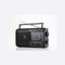 WE Radio Portable Grandes Ondes : FM/AM/SW/LW avec Haut-Parleur intégré, Antenne Externe, avec Poignée de Transport - Noir