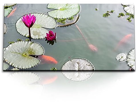 Paul Sinus Kunstdruck Bilder 120x60cm Lotus Wasserblume Lotusblüte Teich Koi Asien
