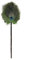 Ostrich chicken feather dust collector that can be used for decoration, used for electrostatic dust removal, peacock feather decoration(Peacock Feather, Medium duster 45cm * 10cm)