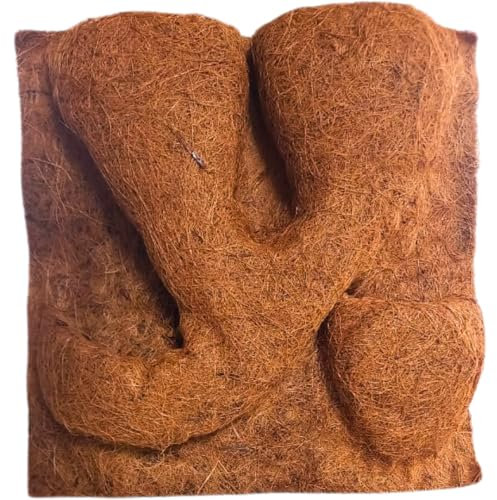 Natunae - Kokosfasern Rückwand für Terrarium, Natürliche Kokos Dekoration für Reptilien mit Pflanztaschen (50 x 50 x 1 cm)