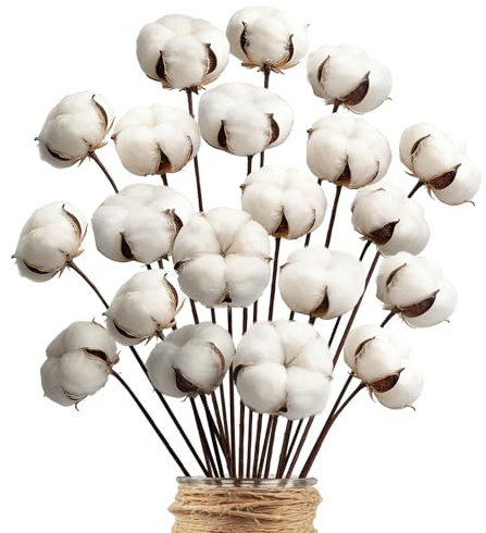 Minnhua 20pcs Baumwollzweig Natürlich Baumwolle Deko Zweige Getrocknete | Blumen Trockenblumen Baumwollpflanze Kunstblumen Weiss Dekoblumen Getrocknete Zweige für DIY Vase Hochzeit Dekoration