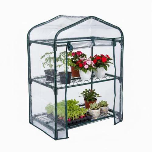 Baroni Home Serra da Giardino con Copertura in PVC Trasparente, Telaio in Acciaio Resistente, Porta Avvolgibile con Cerniera, Protezione da Pioggia, Vento e Uccelli (2 Ripiani)