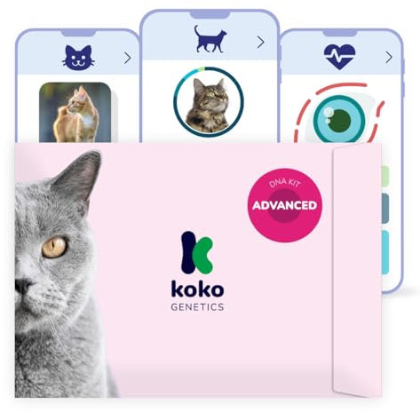 Koko Genetics DNA-Test für Katzen Advanced - (+150 Berichte über Rassen, Gesundheit und Eigenschaften) - Upgrades kostenlos