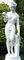 JS Garten Deko Dekofigur Statue Skulptur Figur Venus mit Apfel von Canova stehend mit Apfel H 59 cm antik grau