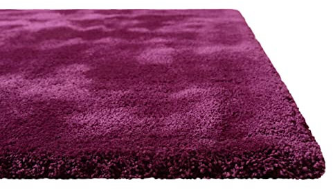 Homie Living I Hochflor Teppich Uni I Modern, weich, flauschig, kuschelig I Für Wohnzimmer Schlafzimmer I Pisa I (130 x 190 cm, Violett)
