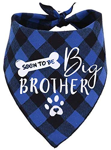 Hundehalstuch, Motiv: Big Brother, wendbar, kariert, Dreieckstuch