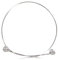 BOSKA 602610 Professional Series Coupe-fromage en acier inoxydable Argenté
