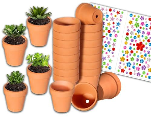 Tontöpfe Klein 24 Stück, 3.5 x 3 cm Mini Blumentöpfe aus BPA-freiem Material, Set mit kreativen Dekorationskarten, Ideal für Pflanzen und Bastelprojekte in Haus und Büro