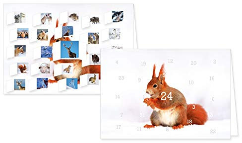 RASW054 - Heimische Tiere im Winter Adventskalender-Doppelkarte (Eichhörnchen/Maus/Fuchs/Wildschwein/Reh/Hase)- 12,5 x 18,5 cm mit hochwertigem Kuvert