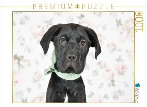 CALVENDO Puzzle Zauberhafter Welpe | 1000 Teile Lege-Größe 64 x 48 cm Foto-Puzzle für glückliche Stunden