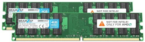 BRAINZAP Memoria RAM da 8 GB DDR2 DIMM PC2-6400U 2Rx16 800 MHz 1,8 V CL6 AMD PC (2 X 4 GB)