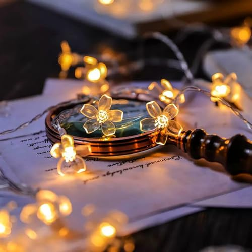HHMTAKA Flower Fairy String Lights 6M Cherry Blossom Lights with 40 LED USB String Lights Spring Decoration for Indoors,Bedroom,Christmas Décor