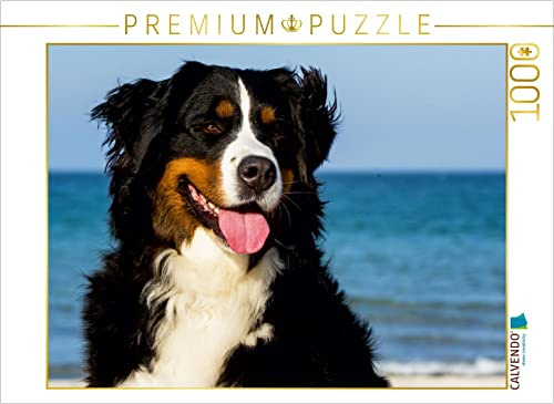 CALVENDO Puzzle EIN Motiv aus dem Kalender Berner Sennenhunde am Strand | 1000 Teile Lege-Größe 64 x 48 cm Foto-Puzzle für glückliche Stunden