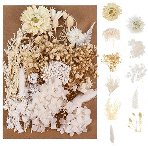 Fuyamp Fleurs sechees, Vraies Fleurs Pressées Séchées et de Feuilles Séchées Naturelles Fleurs Séchées Résine Époxy Mélange pour la Fabrication de Décoration Coquilles Bricolage Résine