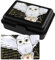 United Labels Harry Potter, contenitore per il pranzo con gufo Hedwig, contenitore per il pranzo, con divisorio, nero