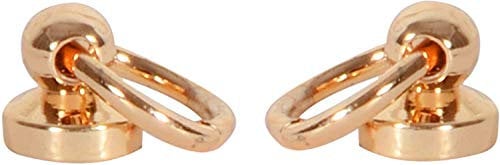 WedDecor Gold Pull Ring Screw Back Studs Brass Chicago Dome Head Rivets for DIY Leathercraft, Clothing, Bags, Footwear, Fashion Accessories, 9.5mm, 2pcs
