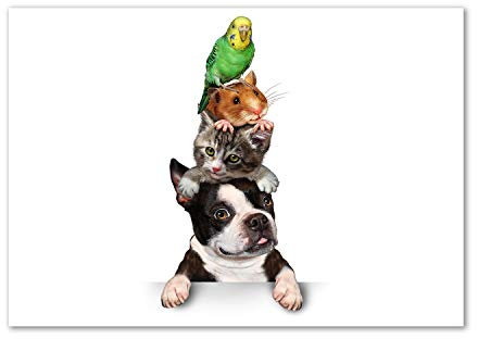 Tulup Impression sur verre de 100x70 cm Image Tableau Photo décorative panoramique pour la cuisine et le salon - Animaux - Groupe D'animaux - Multicolore