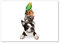 Tulup Impression sur verre de 100x70 cm Image Tableau Photo décorative panoramique pour la cuisine et le salon - Animaux - Groupe D'animaux - Multicolore