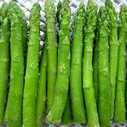 Haloppe 100 Stück Spargel-Gemüse-Samen für den Hausgarten, Spargel-Samen, frische Indoor-Outdoor-Gemüse-Samen Spargelsamen