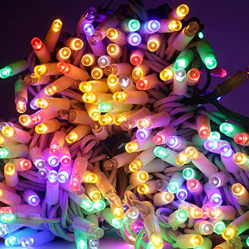 Luccika Stringa Catena di luci Natale a LED Professionale, MaxiLed da 8mm, Flash, per Giardini Negozi Bar, Esterno (Multicolore, 10 Metri - 100 LED)