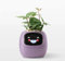 Générique Pot de Fleurs Intelligent, Jardinière Intelligente pour des Plantes Amusantes et connectées (Violet)