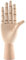 Hausdec 18 * 6Cm gelenkig Rechte Hand Gliederpuppe Modell Geschenk Kunst Alternativen