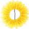 SOIMISS Sonnenblume Stirnband Kleider Blumenkostüm Für Hochzeitsdeko Mädchenmütze Sportbekleidung Hut Sonnenblumen-gesichtsabdeckung Sonnenblumenblätter Hüt Kind Gesichtsmaske Cosplay