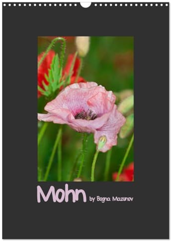 Mohn (Wandkalender 2026 DIN A3 hoch), CALVENDO Monatskalender: Klassischer Mohn in vielen Auftritten (CALVENDO Natur)