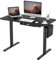FLEXISPOT Electric Height Adjustable Standing Desk 120 * 60cm Sit Stand Desk Adjustable Desk Stand Up Desk with Backpack Hook Memory Smart Pannel EF1 Series(Black Frame+Black Desktop)