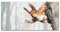 Tulup Splashback 39.37x19.68 inch / 100x50cm Toughened Safe Glass Wall Protection Kitchen Splash-back Glass Panel Protection Induction Cooker Kitchen Panel Tempered Glass - Orange - squirrel