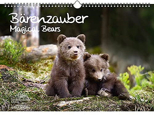 Bärenzauber DIN A3 Kalender - Immerwährender Kalender Bären - Seelenzauber