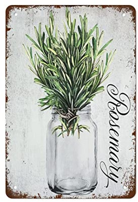 Tin Painting Plaque Kitchen Herbs Plant Mason Jar Metal Tin Signs Good Cheap Art Poster For Pub Garden Bar 30x40cm