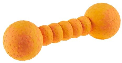 Wolters Cat & Dog Aqua-Fun Gym 23 cm, Farbe: Mango, für Erwachsene Hunde, Hundespielzeug, Wasseraktivitäten