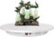 BEZAX Plato Giratorio De 360°, Plato Giratorio Eléctrico con Control Remoto, Velocidad Ajustable,Carga De 150 Kg, para Exhibición De Joyas, Fotografía,White-42cm