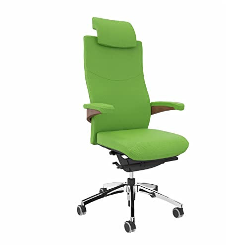 Viasit Toro ergonomischer repräsentativer Chefsessel Drehsessel mit vielen Funktionen Büro und Chefetage (grün)