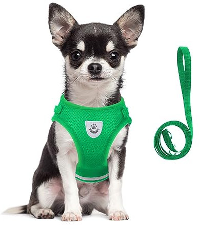 meioro Hundegeschirr mit Leine-Reflektierend Weich Gepolstert Hunde Geschirr-Atmungsaktiv Verstellbare Brustgeschirr für Kleine Mittelgroße Welpen Katzen-Schwarz Weste (Grün, L-Brust:41-46cm)